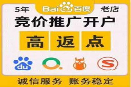 案例解析：揭秘高效竞价推广技巧
